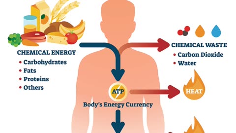10 Things You Didn’t Know About the Keto Diet