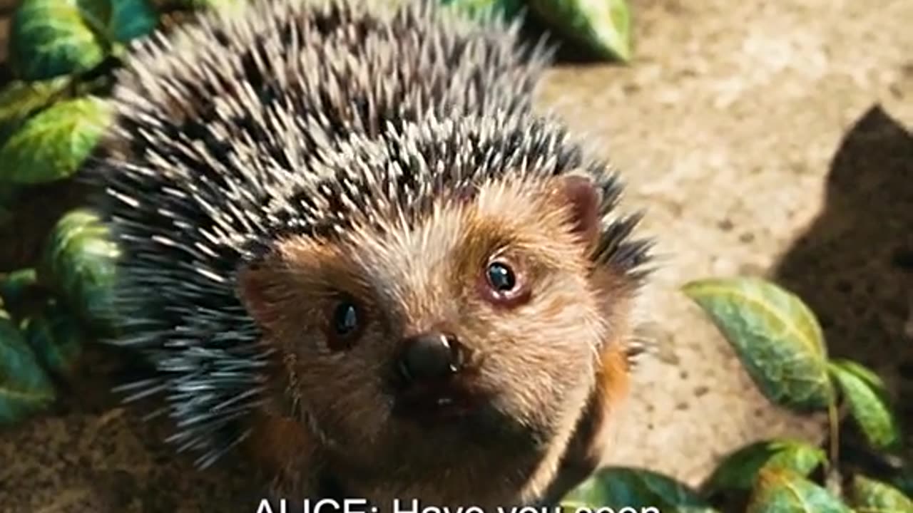 Its amezing video