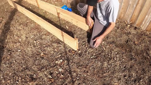 Cedar raised bed build