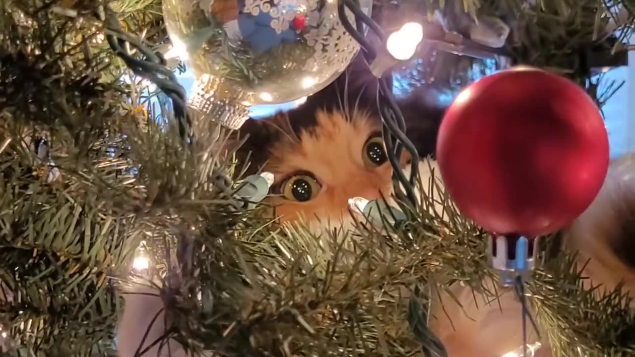 I Love Christmas Time!