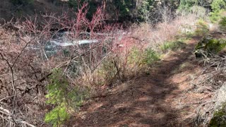 Hiking the Wilderness – Metolius River – Central Oregon