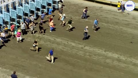 Hilarious grandparents face off and face plant during horse track race