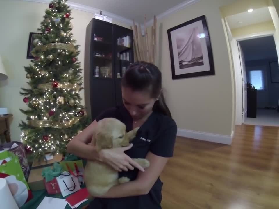 Surprised my wife with a golden retriever puppy for Christmas