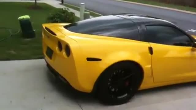 Bad Bumblebee Z06