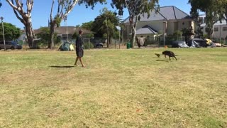 Justin Nicholas Vos and his dogs