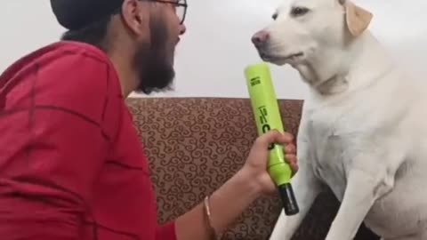 Carona VS chinna😂animallover #doglover #ytshorts #friendship #funny #trynottolaugh