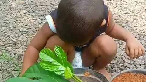 kid is planting a sapling