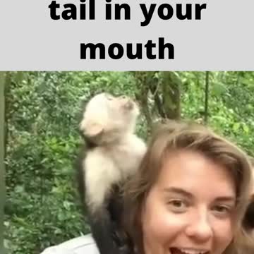 don't open your mouth will get a tail in your mouth