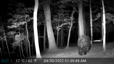 The Woods - 04/30/2022