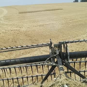 Wheat combine in Idaho part 2