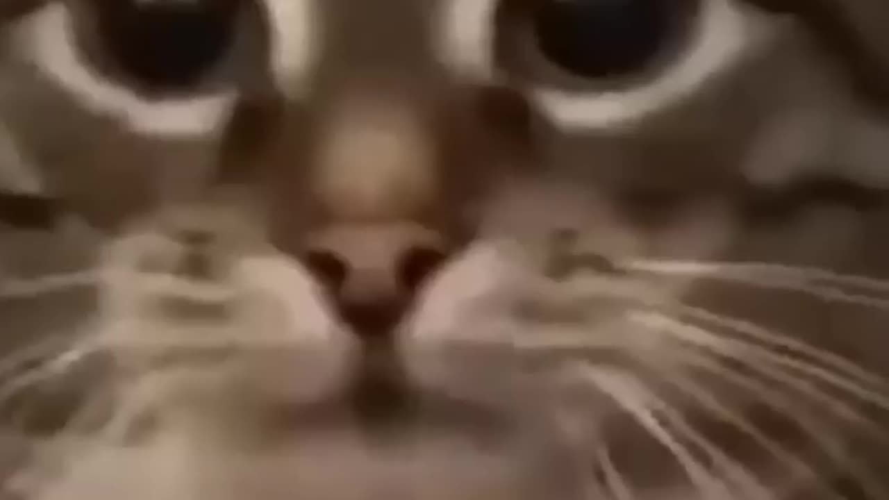 Funny meme 15