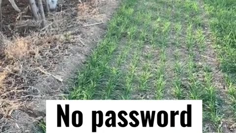 No password