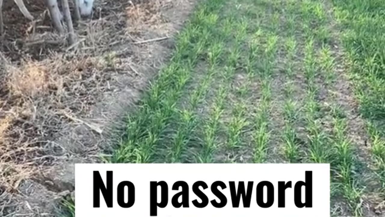 No password