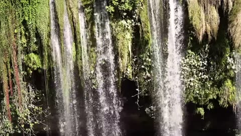 4k Nature Enjoying Video For Amusement and Pleasure