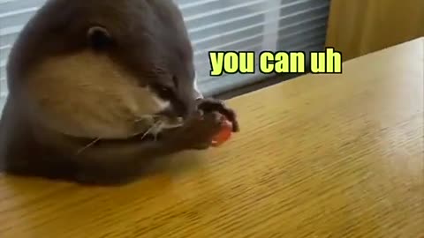 It’s cherry day bitch