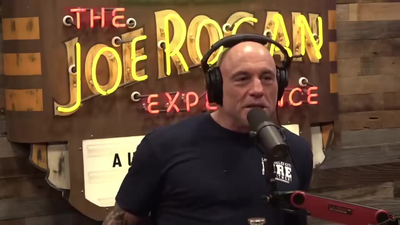 Joe Rogan:If we didn't have X, We would be fuc*ed