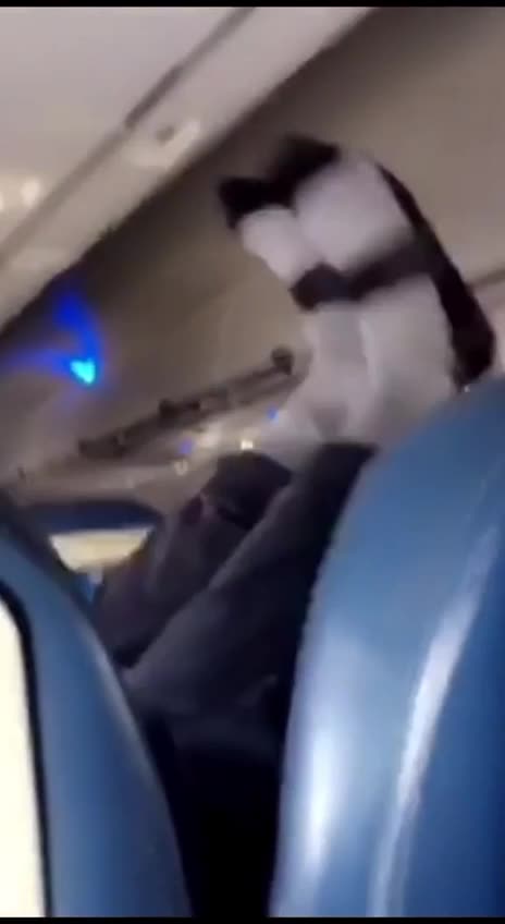 Wondering why your plane ticket was on discount?