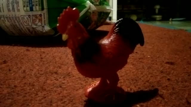 Chicken a Toys