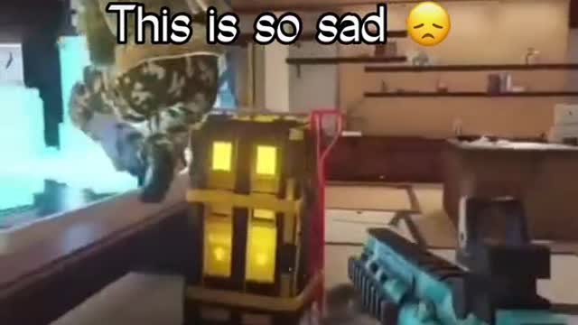 I love old siege memes