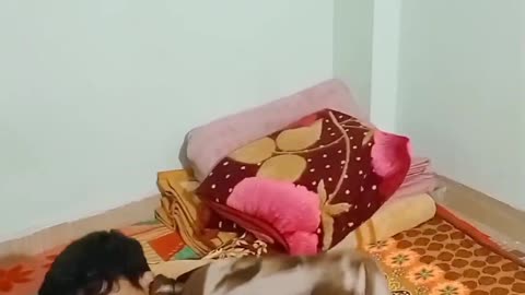 Room Mates