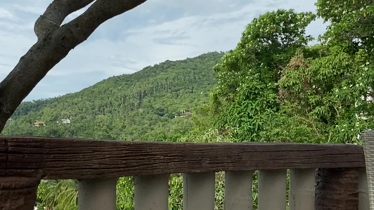 So nice bird eating in natural. Enviroment