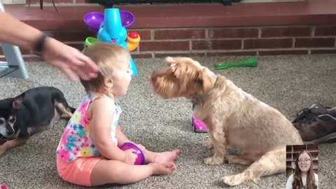 Adorable Babies Playing With Dogs Compilation - Funny Baby And Dog Videos __ Just Laugh