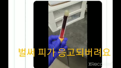 혈액 1