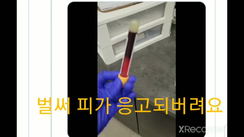 혈액 1