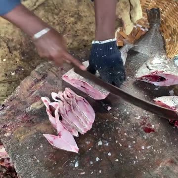 How to cutting fish technique skills
