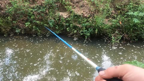 LITTLE CREEK BANK FISHING FOR BASS