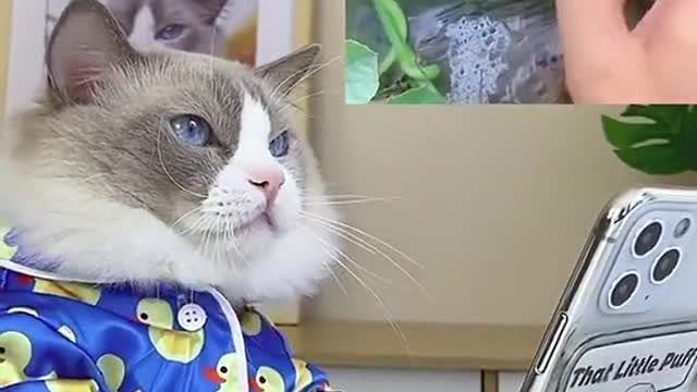 Never trust the internet.