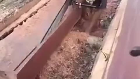 Perfect Wood Cutting