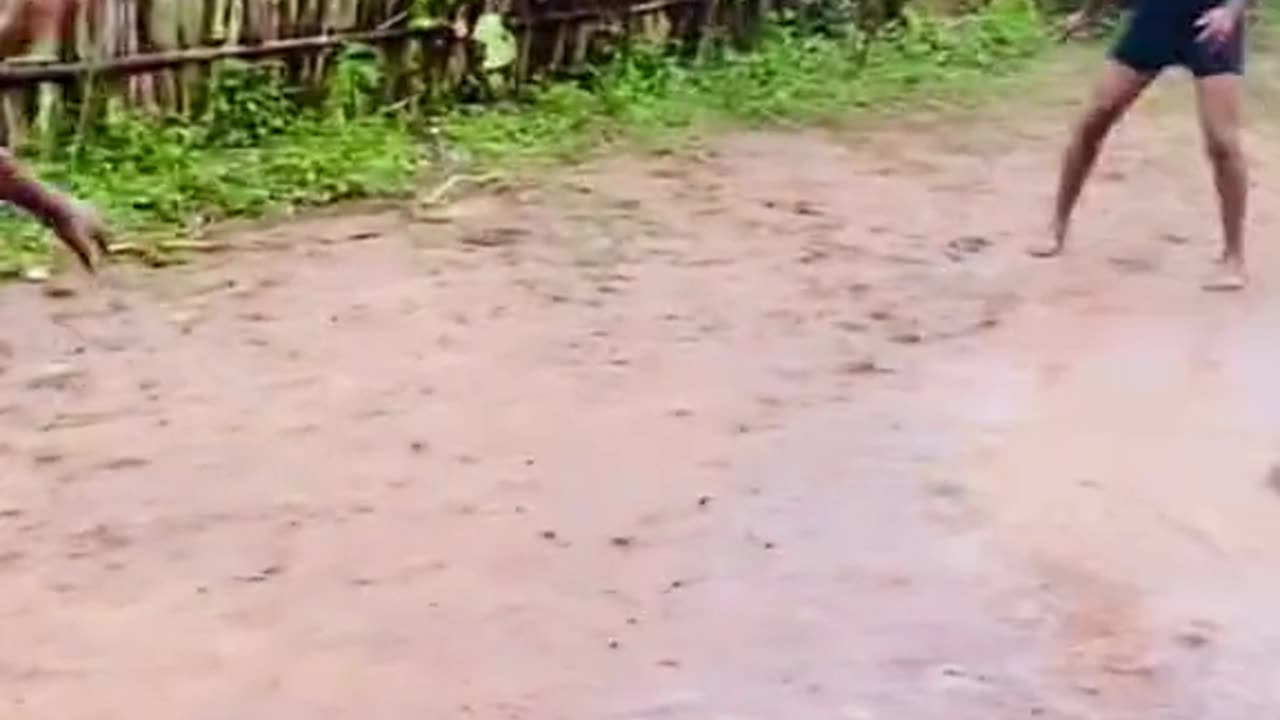 Brother Bernard viral video