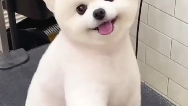Look at me im getting haircut