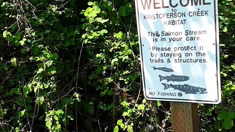 kristofferson creek trail,camano island,