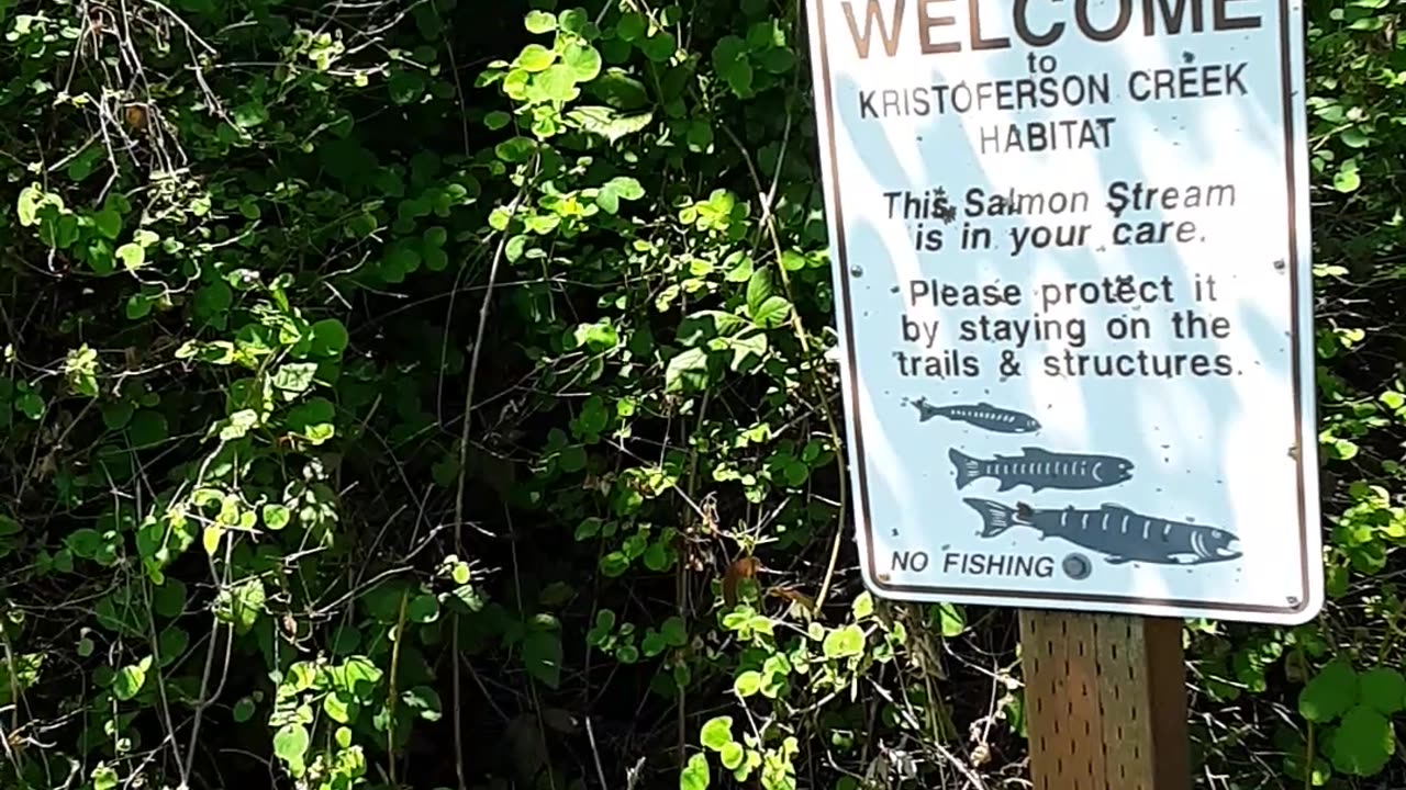 kristofferson creek trail,camano island,