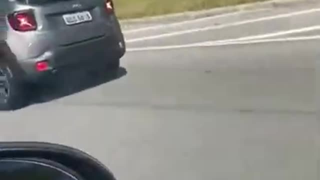 the distracted driver