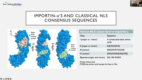 ADC Antibody Screening