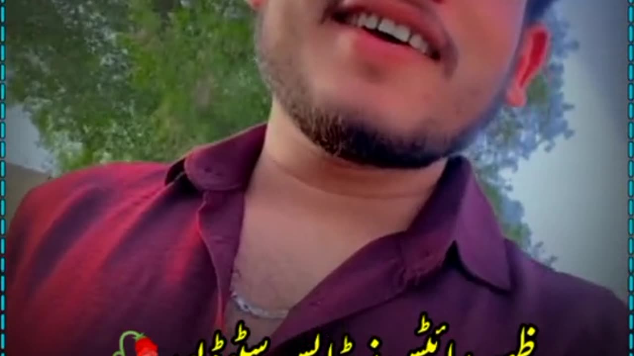 👍👍👍👍