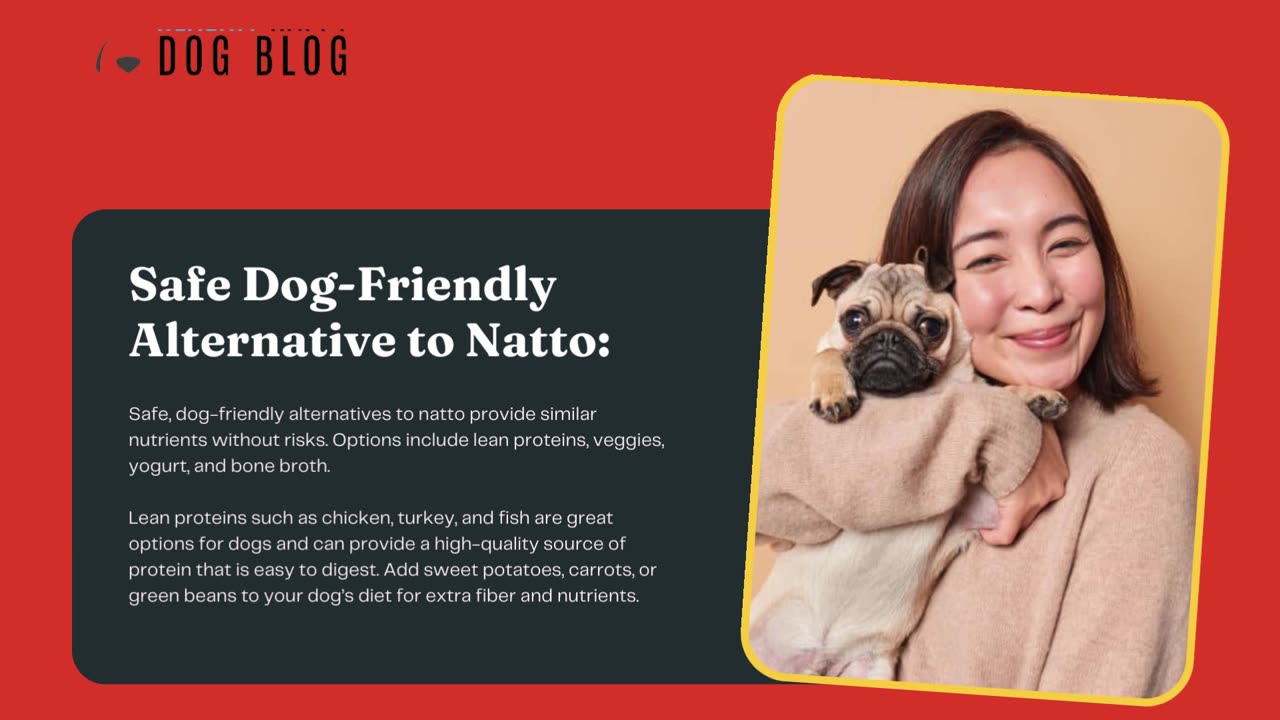 Can Dogs Eat Natto | The Happy Healthy Dog Blog