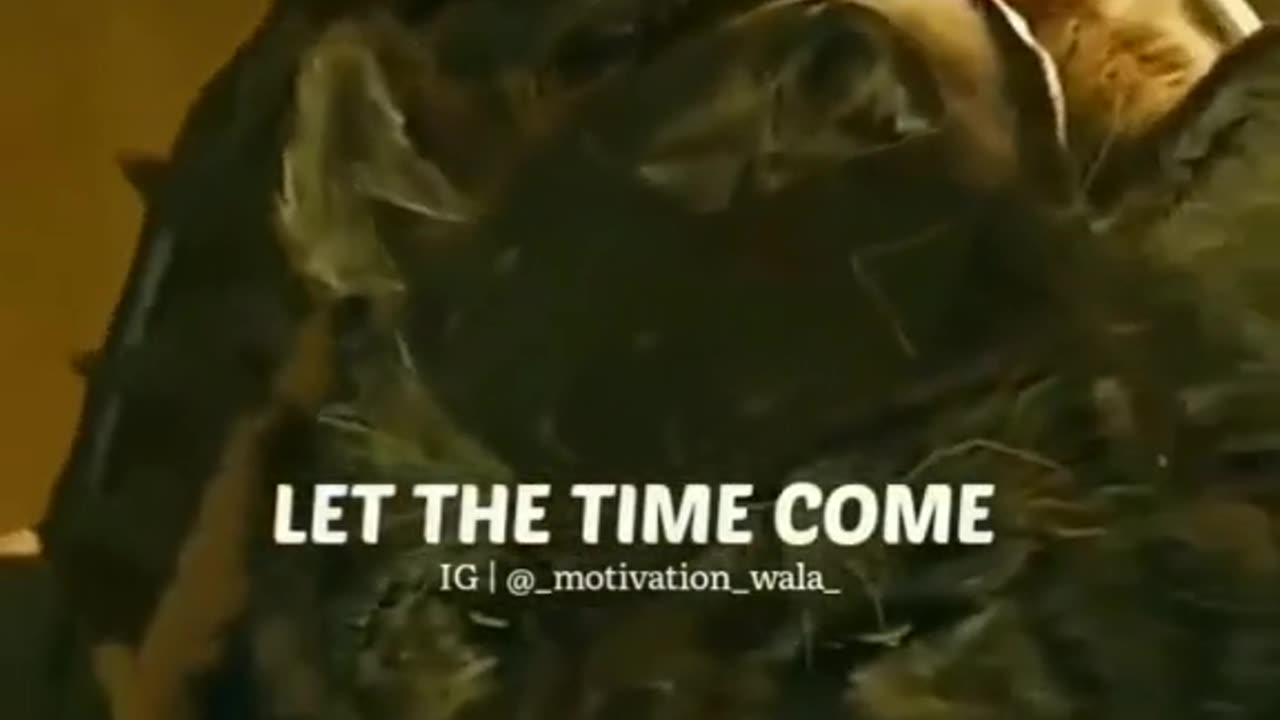 Motivation source