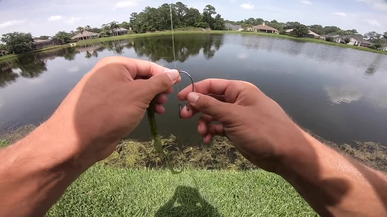 Fishing BIG Worms for GIANT Bass (Bank Fishing)