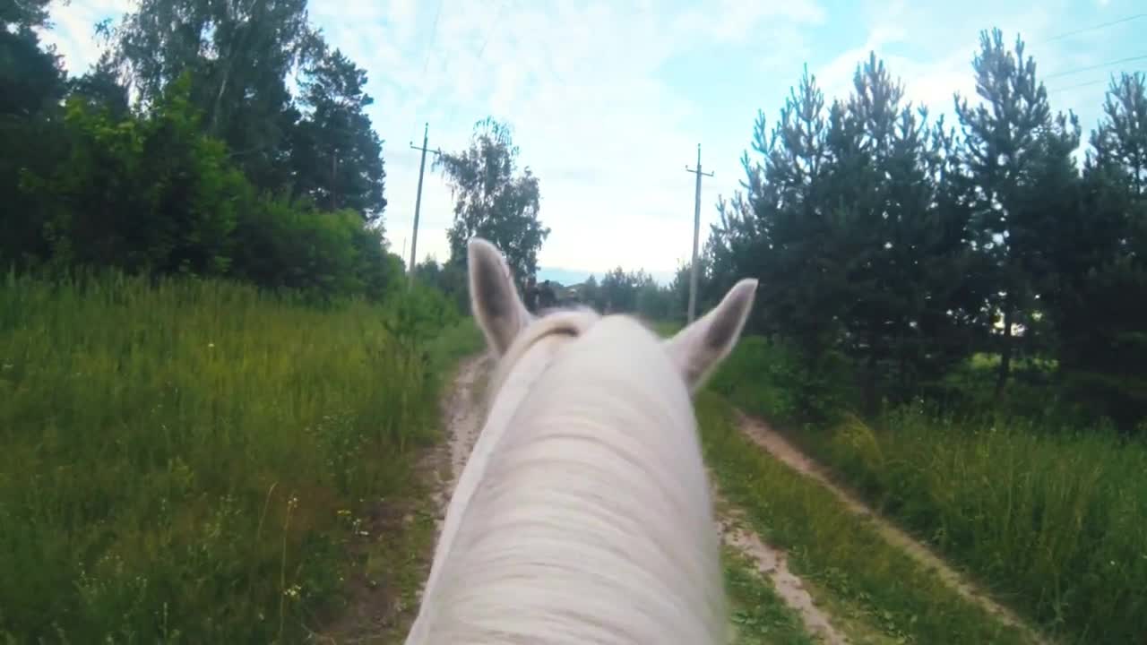 Rider on white horse shooting and riding in forest