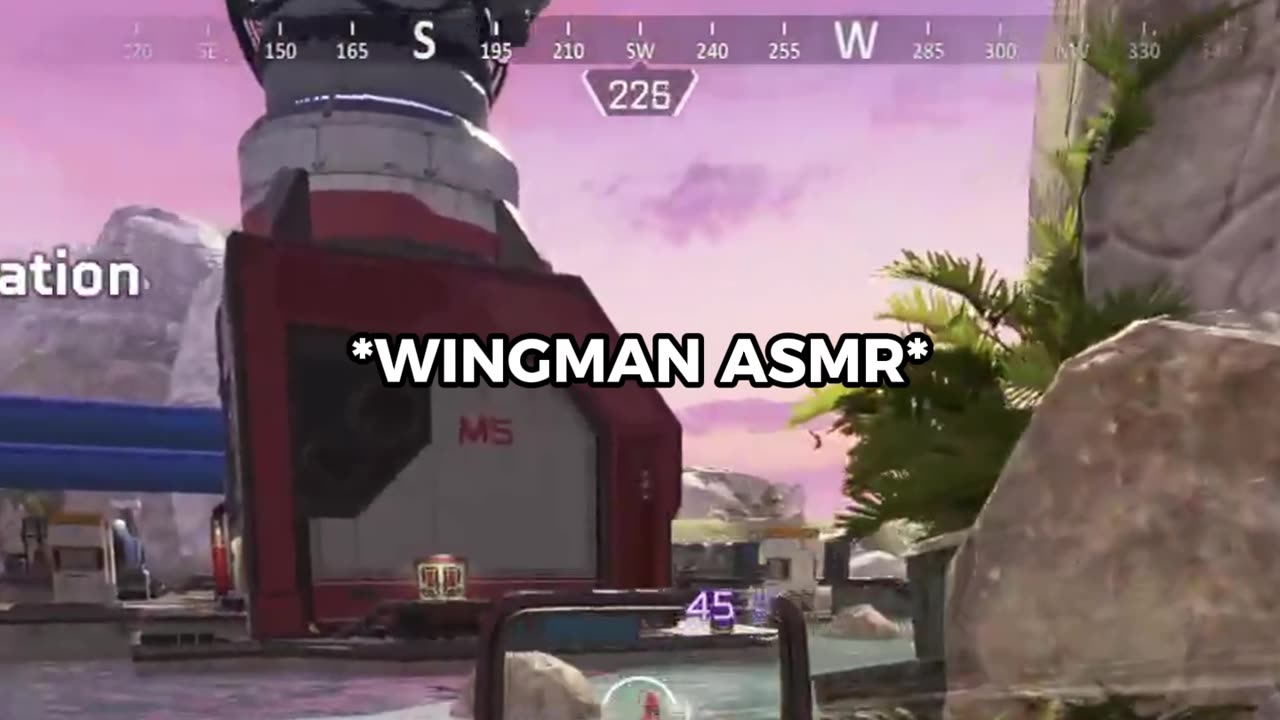 The *NEW* Wingman is Built Different in Season 19...