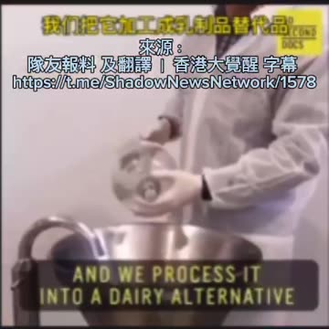 #乳製品 替代品 #昆蟲奶 已經在許多國家生產，並且是由 #黑士兵蒼蠅 的蛆幼蟲製成的