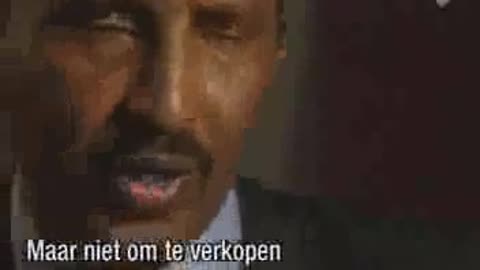 Somaliërs frauderen massaal