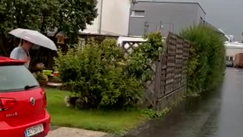 lovely weather Germany