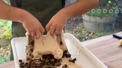 Who knows what this is doing and how it tastes? Look forward to delicious