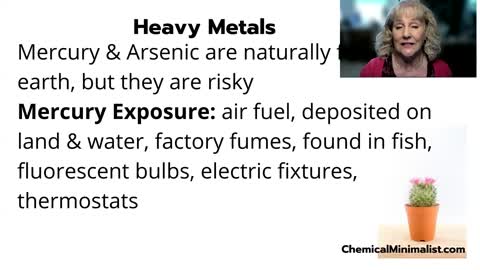 TrashTheToxins Chemicals of Concern