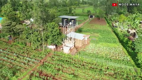 I Left America To Kenya & Now Own 20 Acres Organic Farm